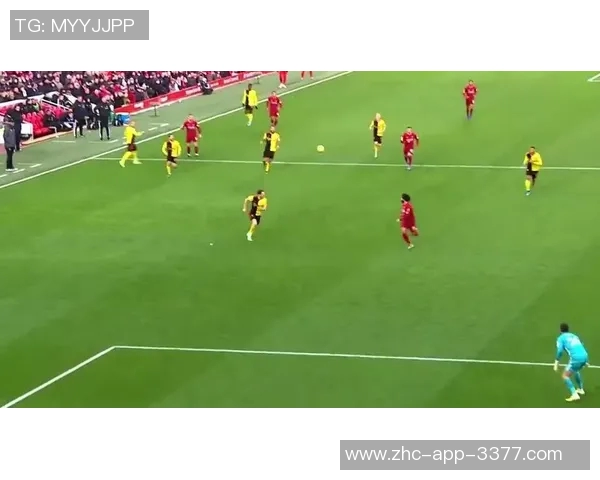 天下足球官网手机壳的时尚选择与保护功能完美结合,助你畅享足球激情 天下足球官网手机壳的时尚选择与保护功能完美结合,助你畅享足球激情